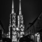 Cathedral of St. John the Baptist - Wroclaw