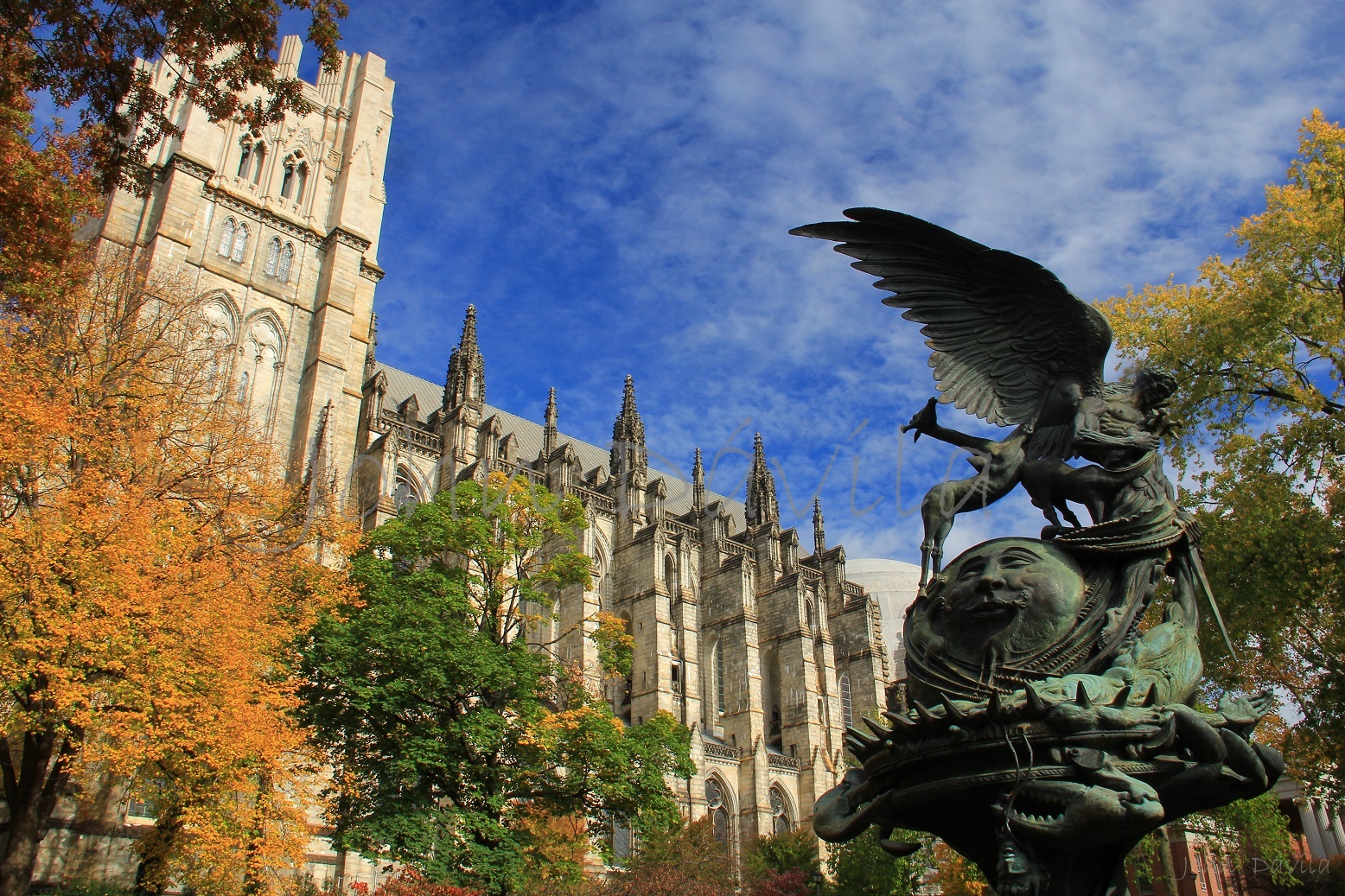 Cathedral of St. John the Divine, New York