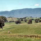 cathedral ranges