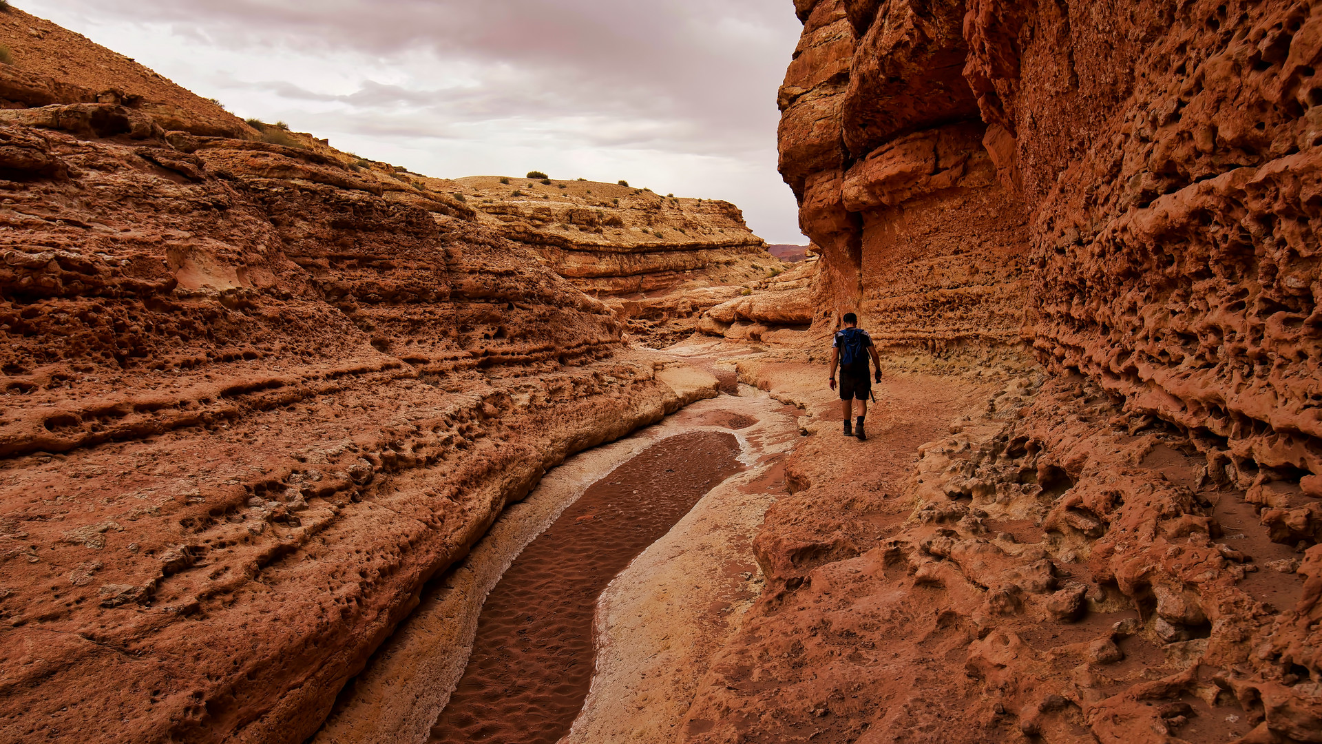 Cathedral Wash Trailhead