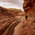 Cathedral Wash Trailhead