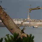 Cathédrale... 2  bois