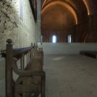 Cathédrale de Maguelone