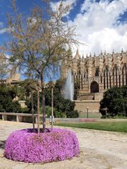 Cathedrale de Palma