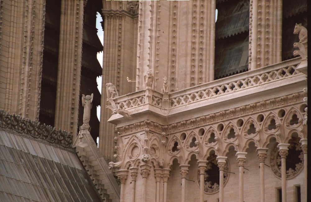 Cathédrale de Paris by day 