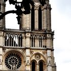 Cathédrale de Paris