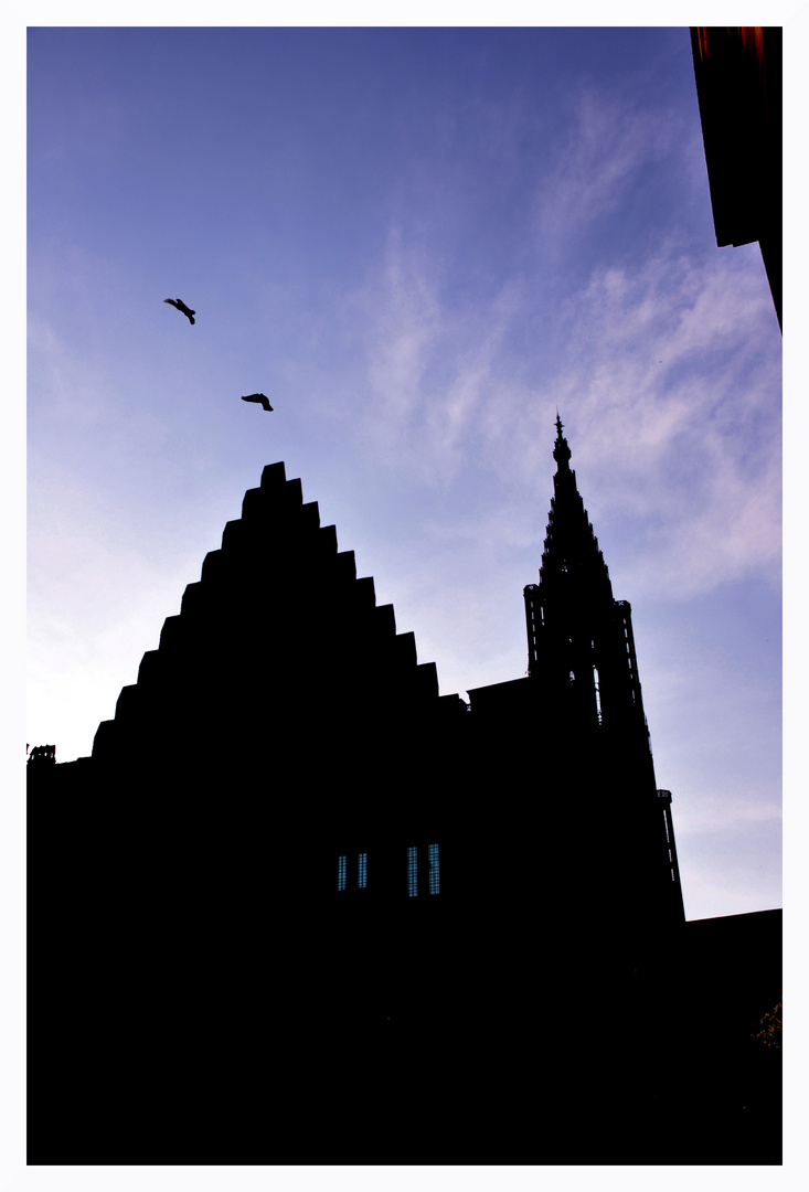 Cathédrale de Strasbourg