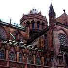 cathédrale de strasbourg sous la pluie