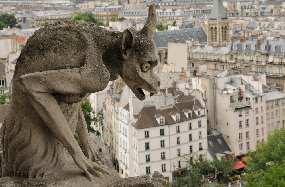 Cathédrale Notre Dame 2