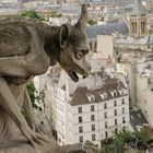 Cathédrale Notre Dame 2