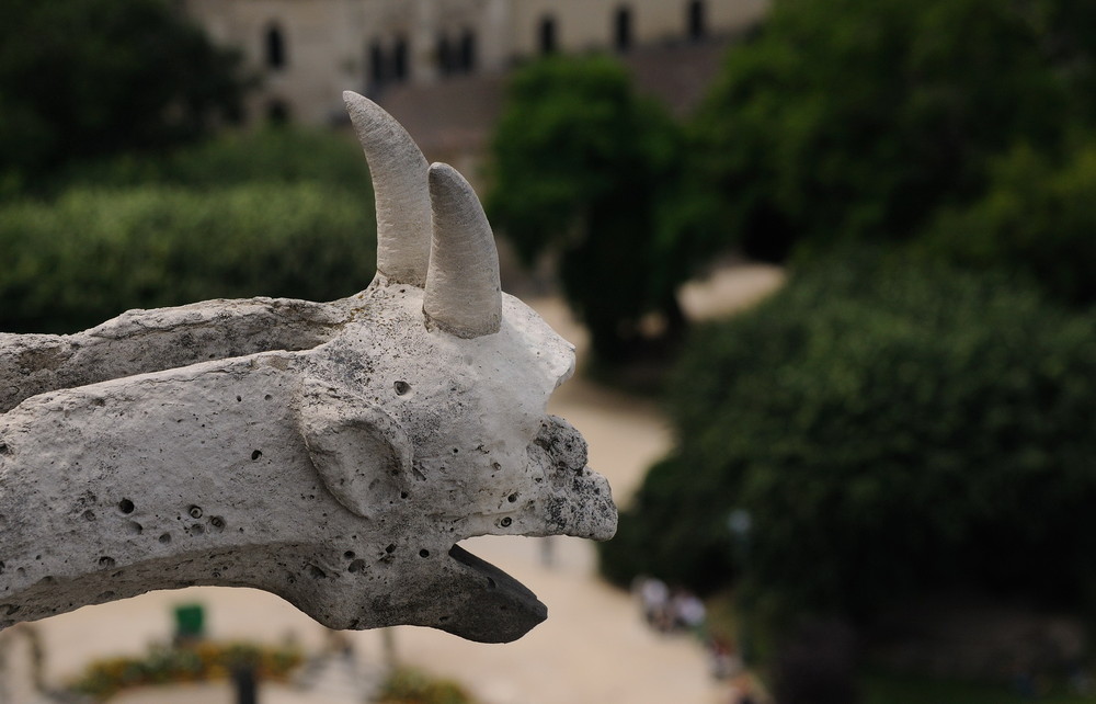 Cathédrale Notre Dame 4