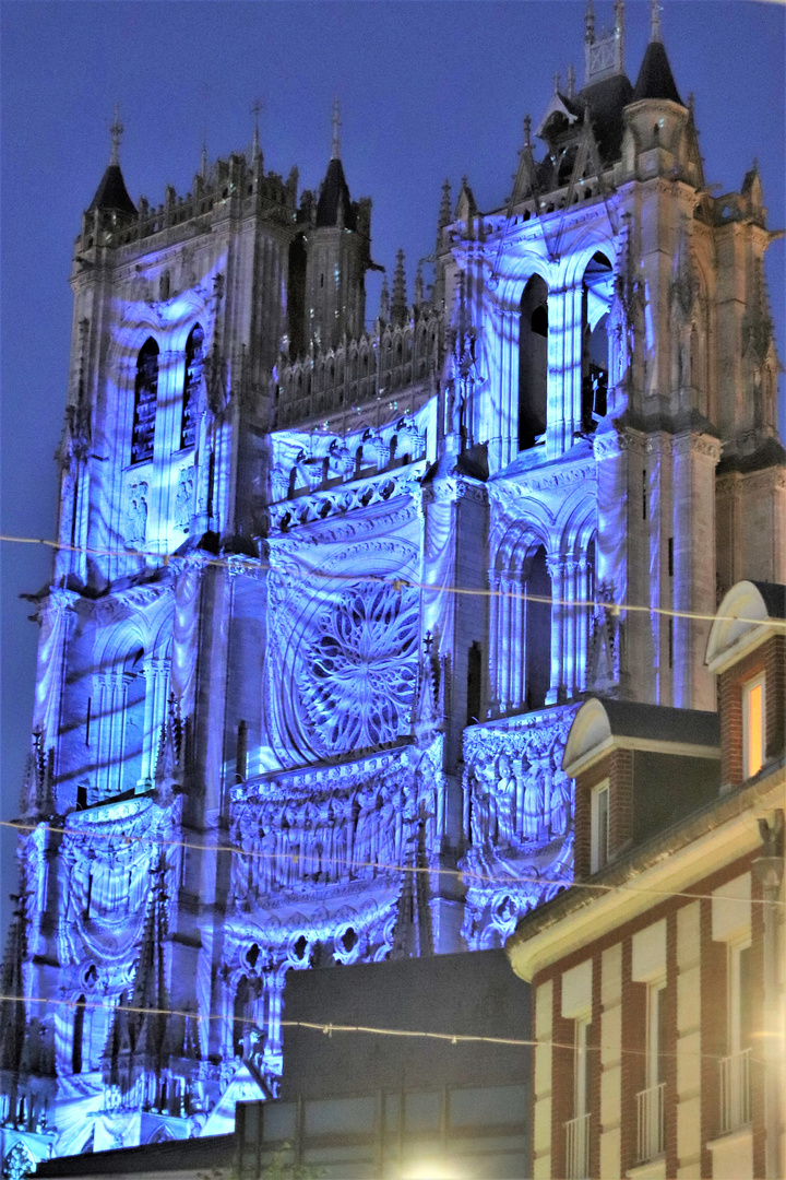 Cathédrale notre dame d'Amiens drapée