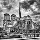 Cathédrale Notre-Dame de Paris 04