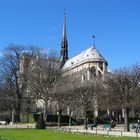 Cathédrale Notre Dame de Paris