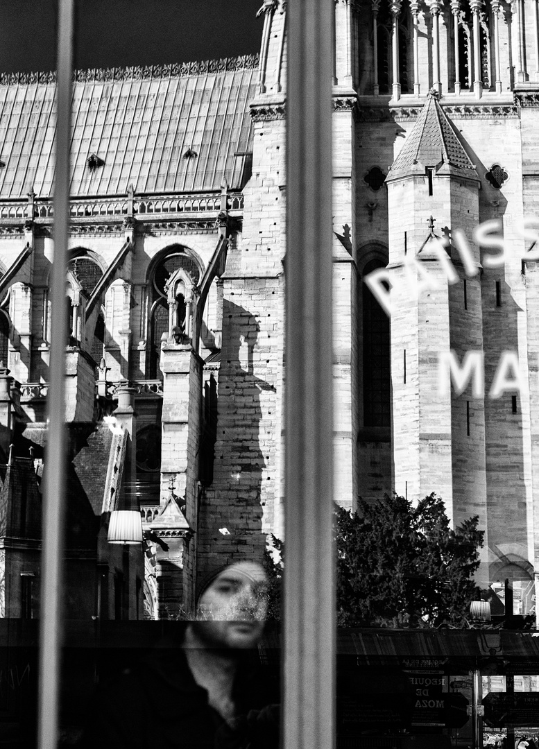 Cathédrale Notre Dame de Paris