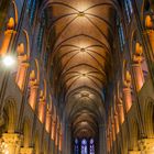 Cathédrale Notre Dame de Paris