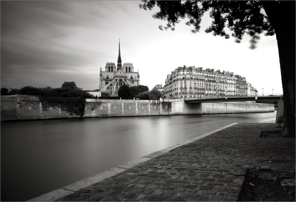 Cathédrale Notre Dame de Paris