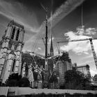 Cathédrale Notre-Dame de Paris