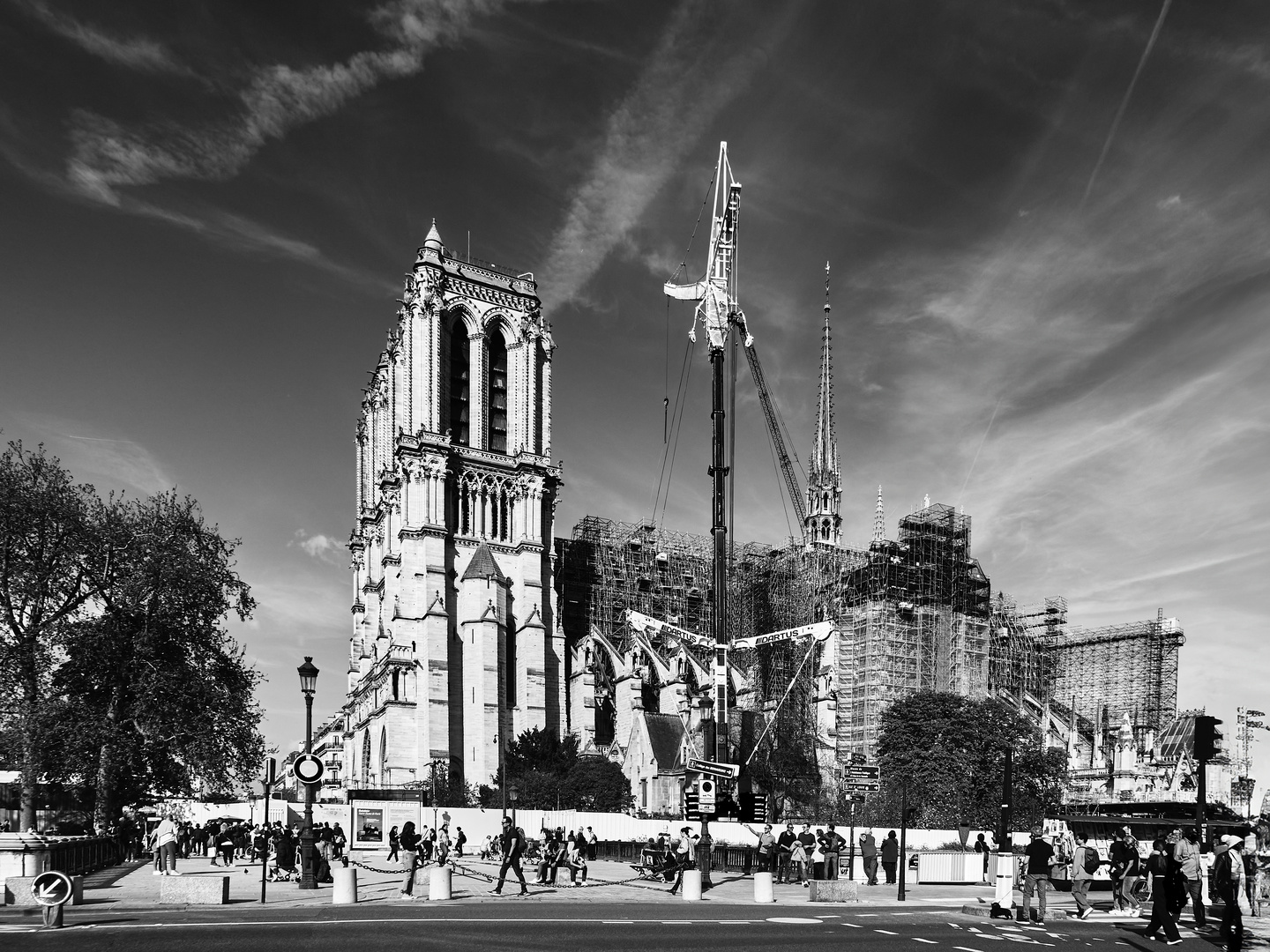 Cathédrale Notre-Dame de Paris