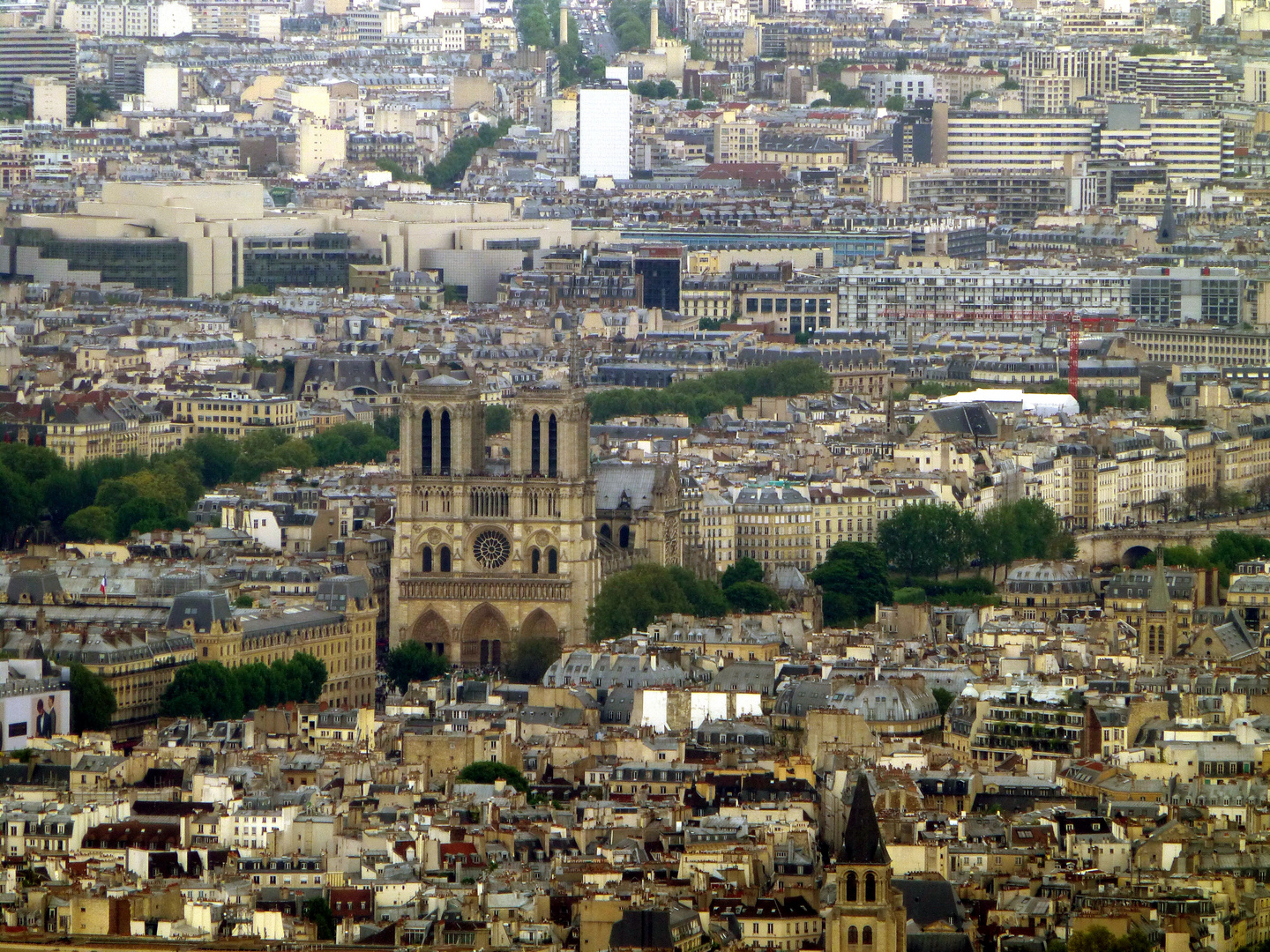Cathédrale Notre Dame de Paris.