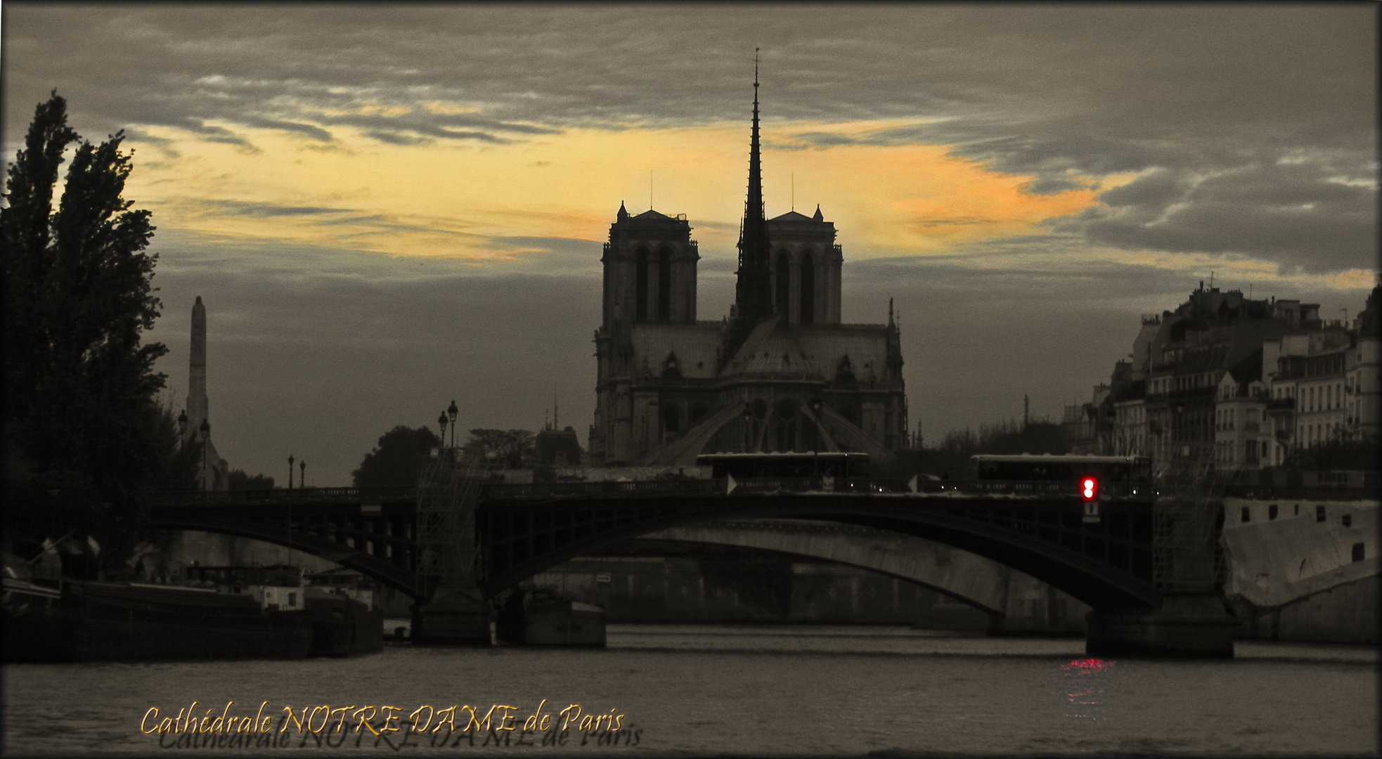 Cathédrale NOTRE DAME de Paris