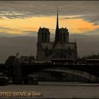 Cathédrale NOTRE DAME de Paris