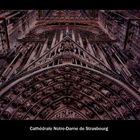 Cathédrale Notre-Dame de Strasbourg