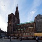 Cathédrale Notre Dame de Strasbourg