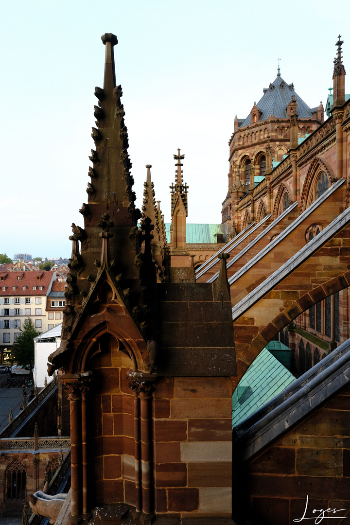 Cathédrale Notre-Dame de Strasbourg