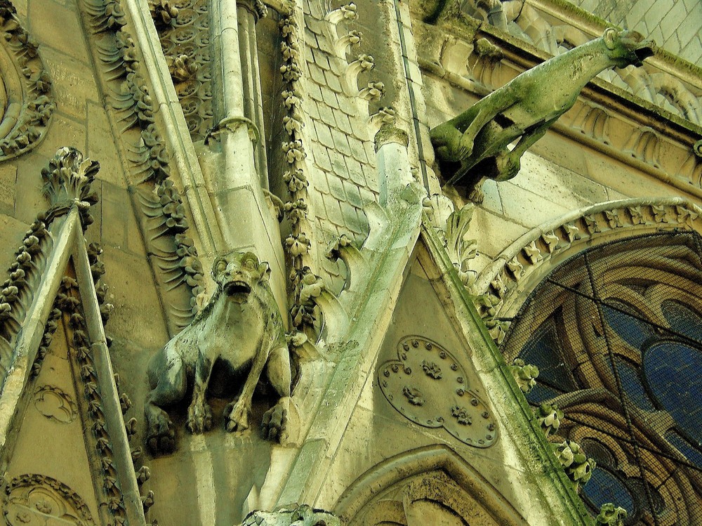 Cathédrale Notre Dame) gargouilles