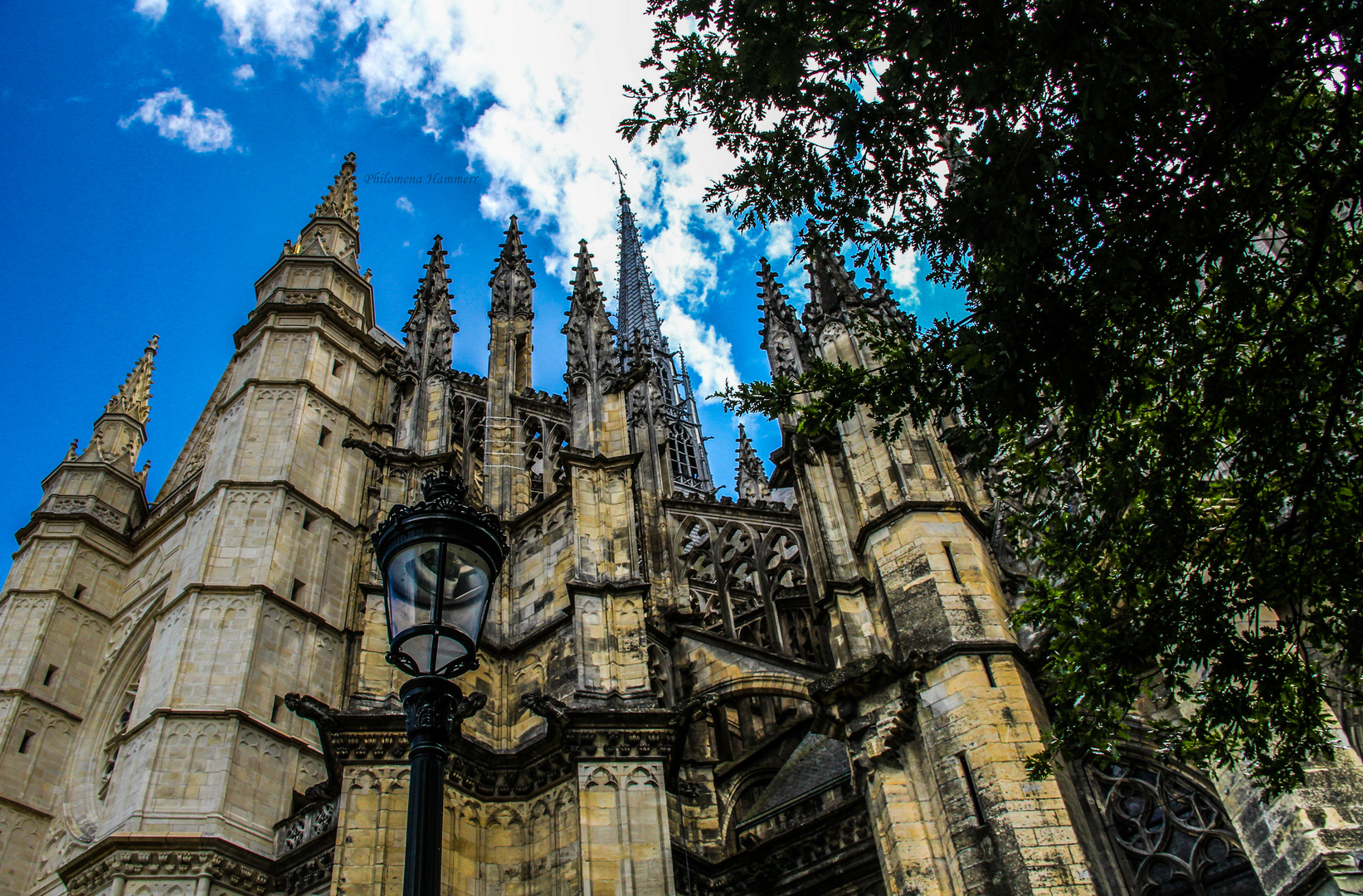 Cathedrale Orleans 2