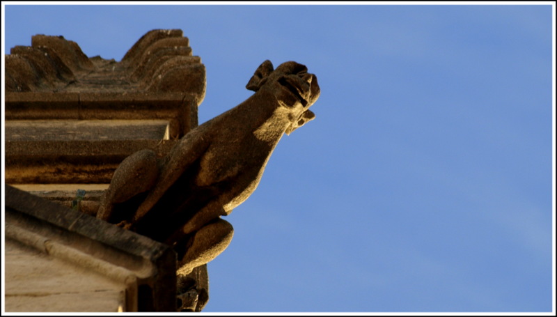 Cathédrale Saint-Pierre, Montpellier