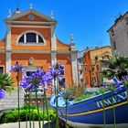 Cathédrale Sainte-Marie de l'Assomption - Ajaccio