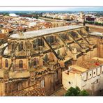 Cathédrale Santa Maria de Tortosa (XIV ème – XVIIIème)