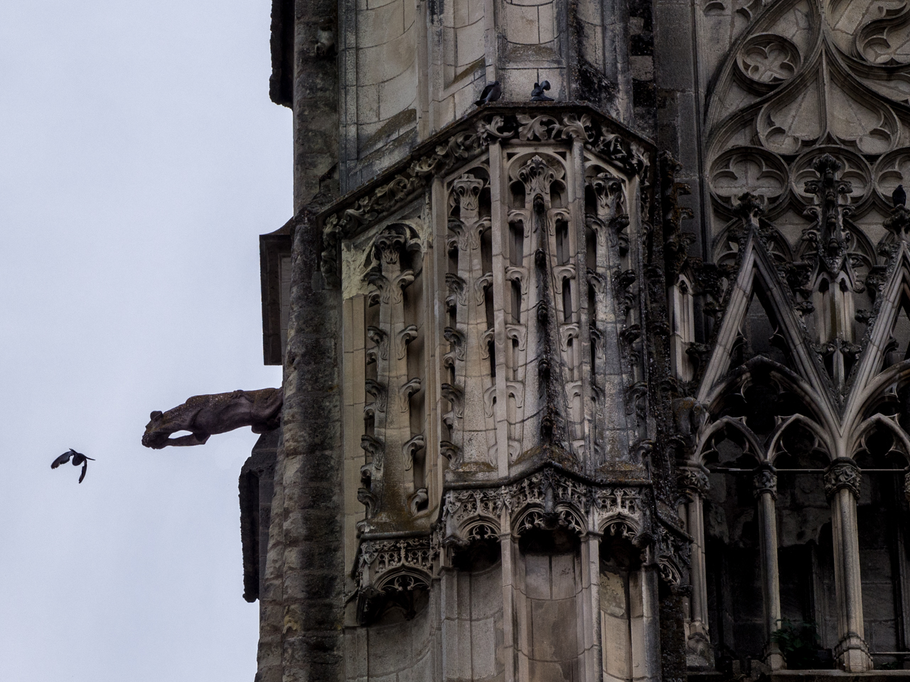 cathédrale st Gatien, Tours