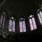 Cathédrale ST MAURICE d' ANGERS