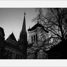 Cathédrale st Pierre de Genève