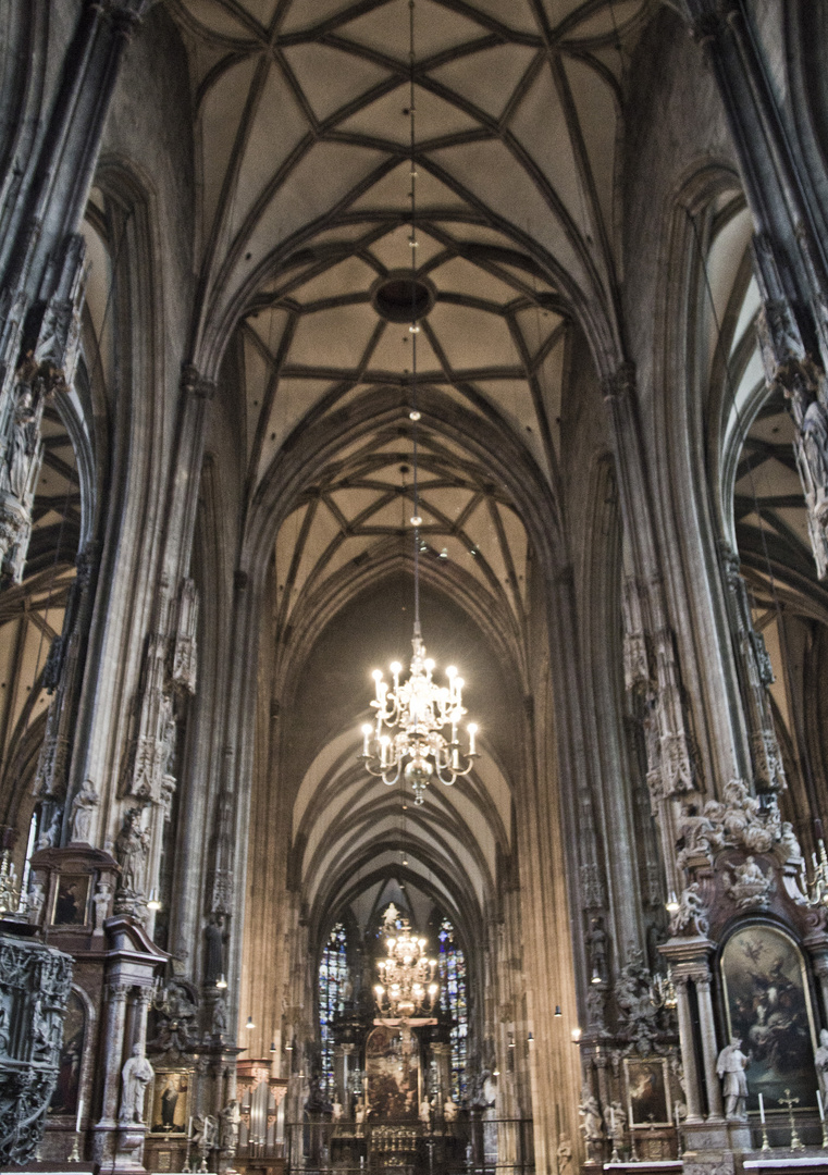 Cathédrale St Stephan de Vienne