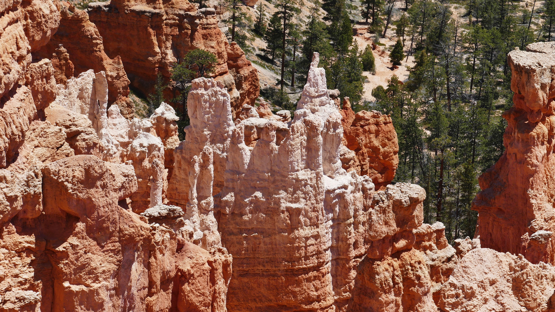 Cathedrals in Bryce Canyon