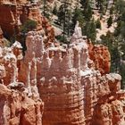 Cathedrals in Bryce Canyon