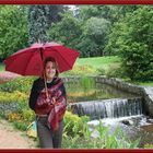 User Profile Photo