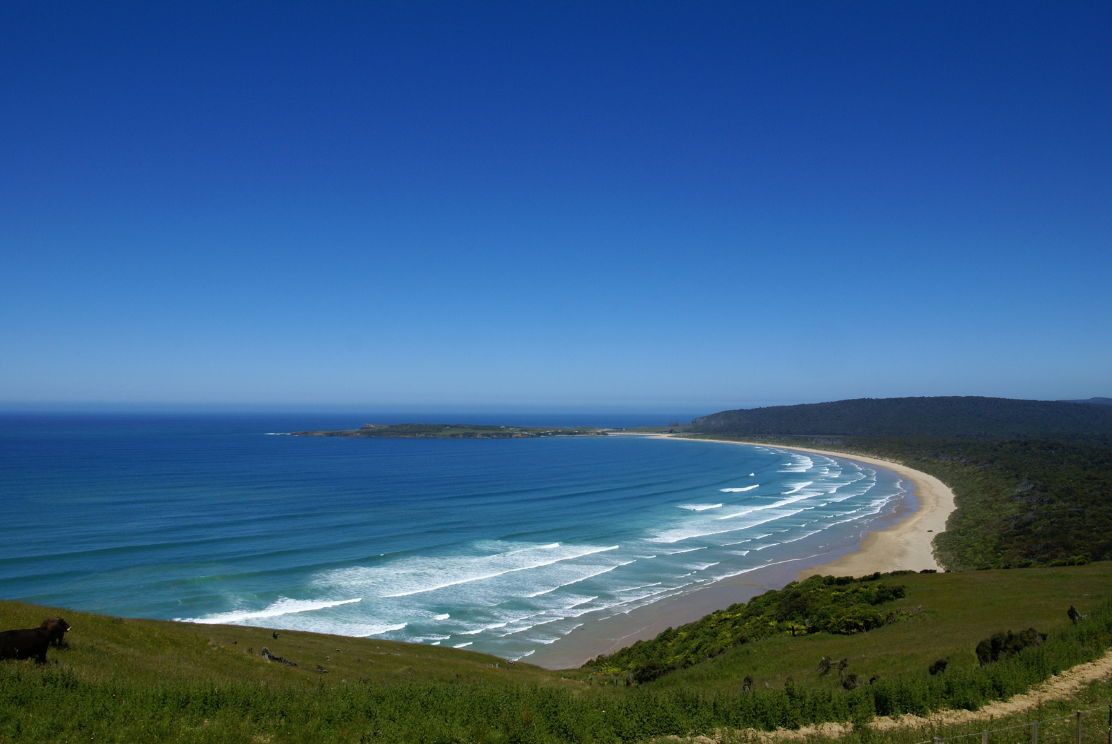 Catlins