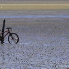 Catlins by Bike - Waikawa Harbour, hier ging's wohl nicht mehr weiter....