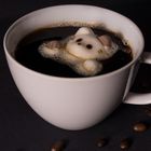 cat'n'coffee