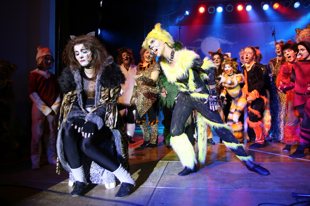 CATS 2008 Proben