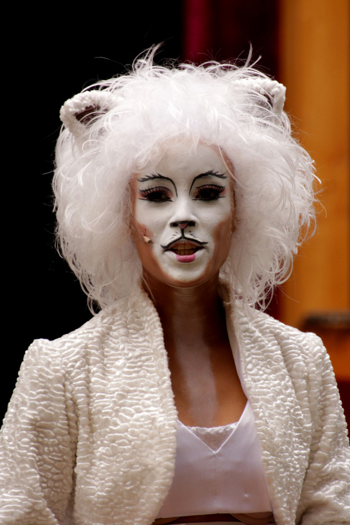 CATS 2015°°°