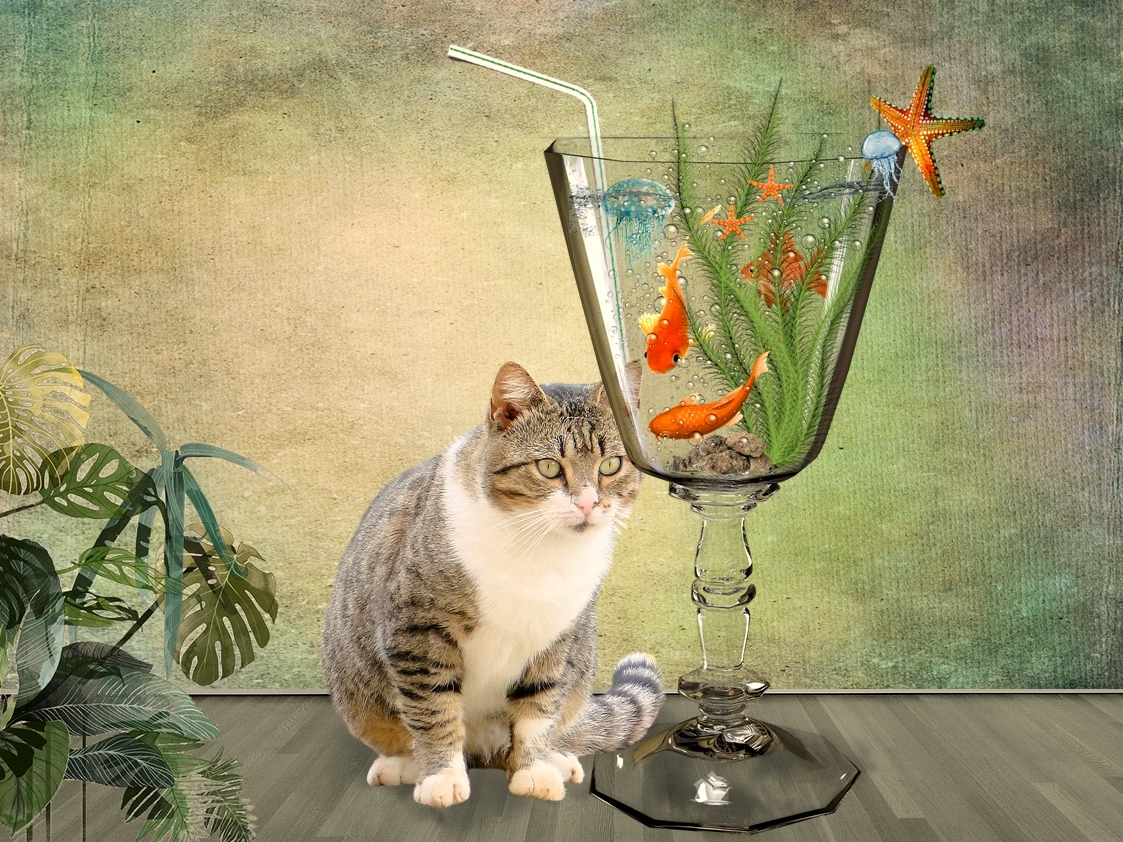 Cats Cocktail