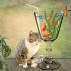 Cats Cocktail