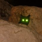 Cats eyes