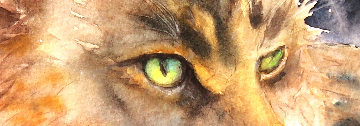 Cats Eyes